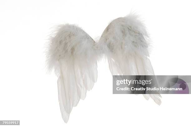 angel wings - angel wings foto e immagini stock