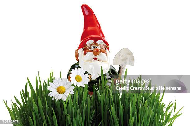 garden gnome with spade, grass in foreground - gnomo da giardino foto e immagini stock