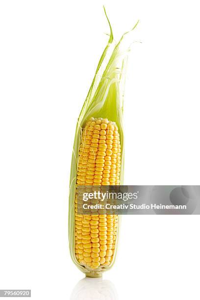 fresh corn cob, close-up - corn on the cob - fotografias e filmes do acervo