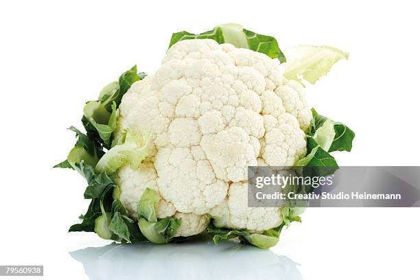 close-up of cauliflower - crucifers 個照片及圖片檔