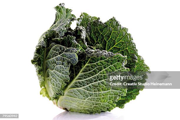 savoy cabbage, close-up - crucifers stock pictures, royalty-free photos & images