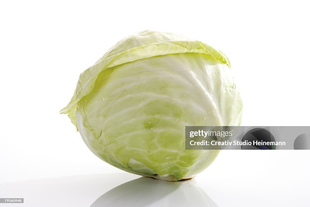 Close-up of white cabbage