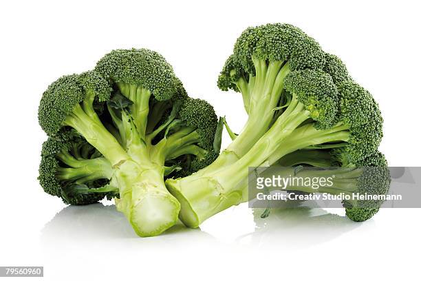 broccoli, close-up - broccoli white background stock-fotos und bilder