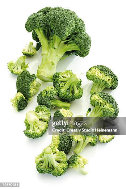 broccoli, close-up - broccoli on white stock-fotos und bilder