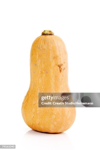 butternut pumpkin, close-up - winter squash stock pictures, royalty-free photos & images