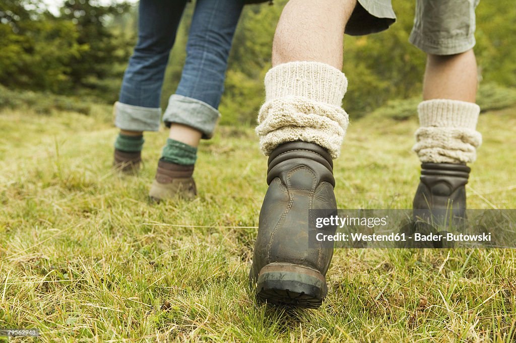 Two persons walking in meadow, detail