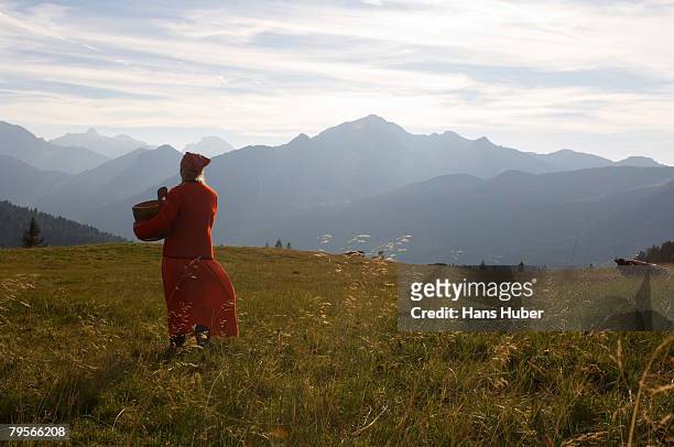peasant woman walking in meadow, holding butter tub - butter churn stock pictures, royalty-free photos & images