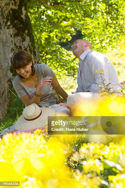 couple having picnic under tree, smiling - plain background please stock-fotos und bilder
