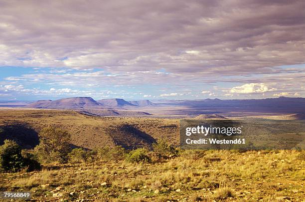 south africa, eastern cape, mountain zebra national park, cradock, karoo - karoo - fotografias e filmes do acervo