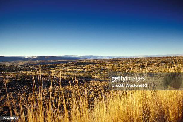 south africa, beaufort west, western cape, moteno pass, view over karoo national park - 半沙漠高原 個照片及圖片檔