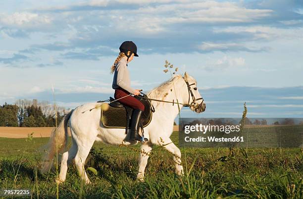 girl riding pony - animal riding stock pictures, royalty-free photos & images