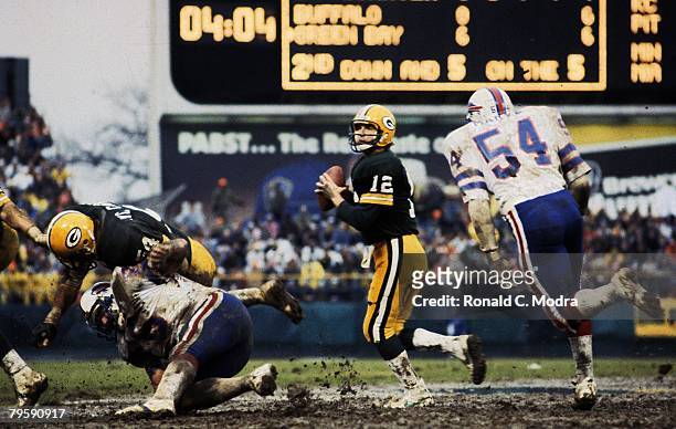 Lynn Dickey of the Green Bay Packers goes back to pass during a game against the Buffalo Bills on December 5, 1982 in Milwaukee, Wisconsin.