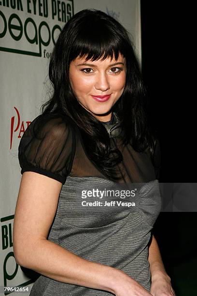 Actress Mary Elizabeth Winstead attends the 4th Annual Peapod Foundation Benefit Concert at Avalon Hollywood on February 7, 2008 in Los Angeles,...