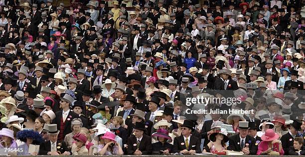 June 22: Crowds take in the atmosphere before The Golden Jubille Stakes run at Ascot Racecourse in Ascot on the 5th day of The Royal Meeting on June...