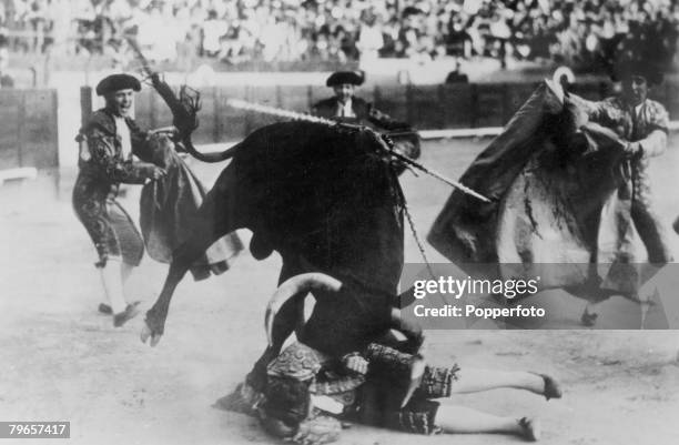 Bullfighter Injuries Bull Fighting Injury Photos and Premium High Res Pictures - Getty Images