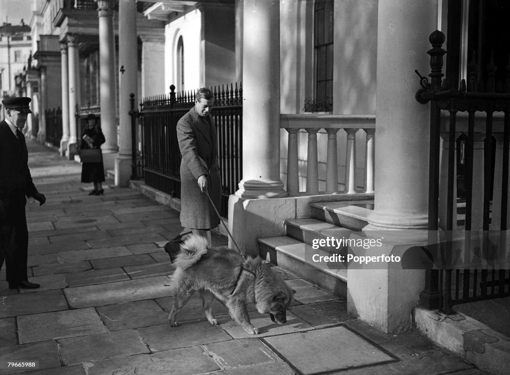 8th October 1938, London, England, The Duke of Kent is pictured walking his pet Chow dog in London+s Belgrave Square