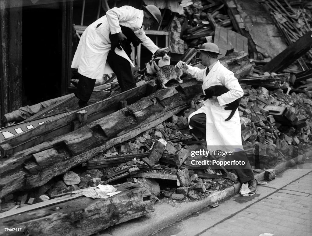 World War II, 25th, October, 1940, A white coated and steel hemeted P,D,S,A, man taking a dog from a wrecked house in the East End of London, after an air raid