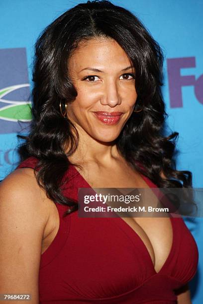 Actress Wendy Davis attends the 39th NAACP Image Awards Nominee Luncheon at the Beverly Hills Hotel February 9, 2008 in Beverly Hills, California.