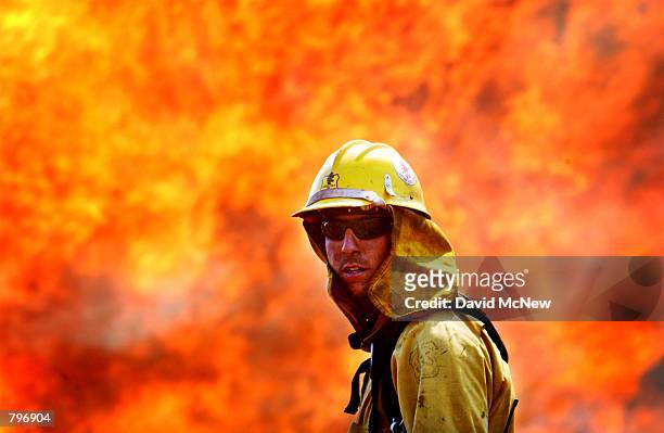 Flames roar behind a member of an elite U.S. Forest Service firefighting team, the Fulton Hot Shots of Bakersfield, California, at the 1,500 acre...