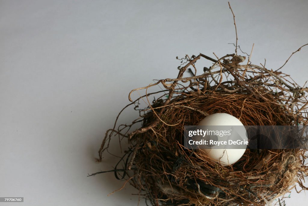 Bird's nest with egg concept image for retirement (Nest Egg). 