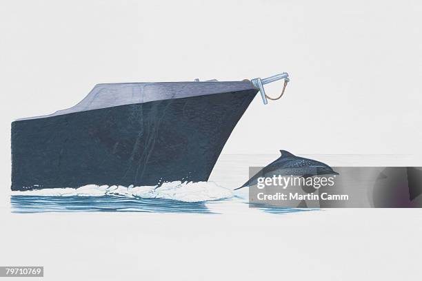 ilustraciones, imágenes clip art, dibujos animados e iconos de stock de dolphin swimming riding bow-wave in front of ship's prow - proa