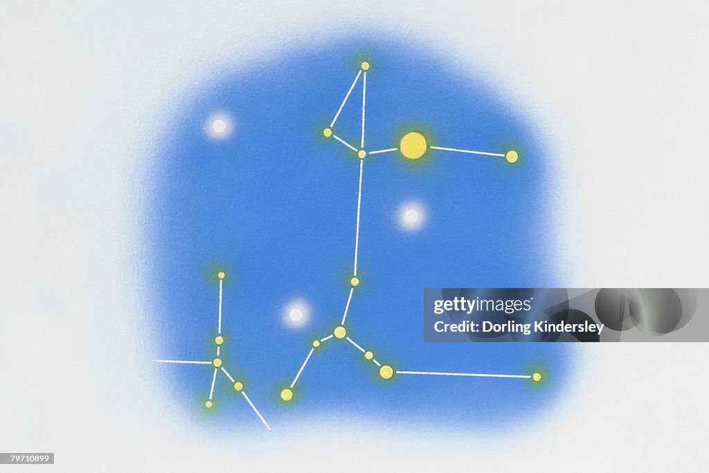 Puppis, canis major (dog stars)