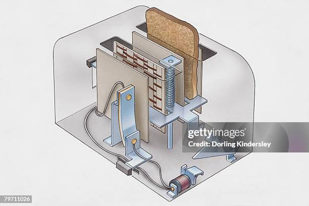 Toaster Simple Digram 653 Staple Diagram Stock Photos, High-Res Pictures, and Images - Getty ...