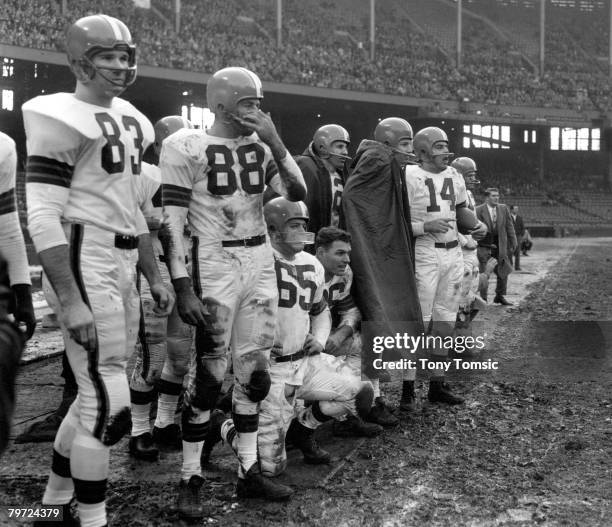 The Cleveland Browns--including future Hall-of-Famers Doug Atkins , Chuck Noll , Dante Larelli , and Otto Graham--stand on the sidelines during the...