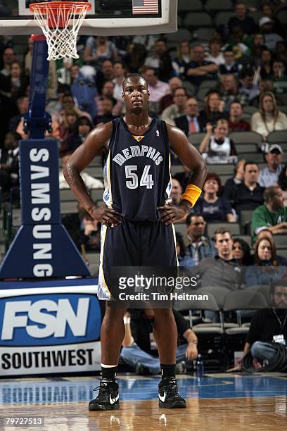 Kwame Brown of the Memphis Grizzlies stands on the court during the game against the Dallas Mavericks at the American Airlines Center on February 8,...