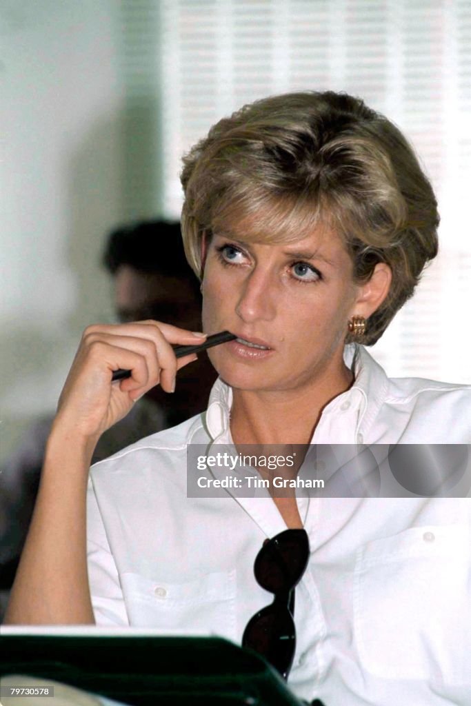 DIANA, PRINCESS OF WALES, AT AN INTERNATIONAL RED CROSS BRIE