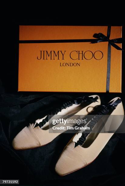 Shoe designer Jimmy Choo designed these shoes chosen by Princess Diana