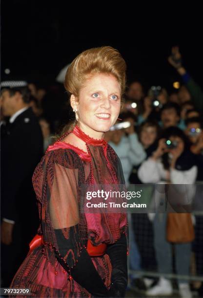 Sarah Rhodes Sarah Rhodes Photos and Premium High Res Pictures - Getty Images