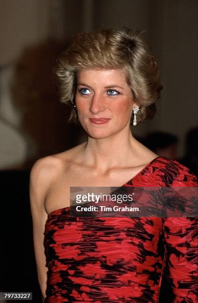 Diana, Princess of Wales attending a dinner in Paris hosted by the ...