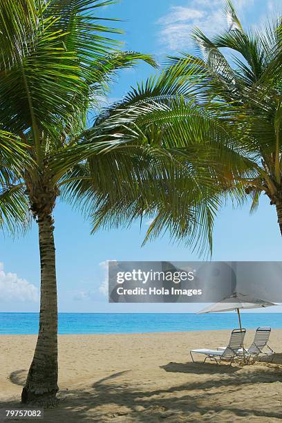 lounge chairs under patio umbrellas on the beach, ocean park, el condado, san juan, puerto rico - condado beach stock pictures, royalty-free photos & images