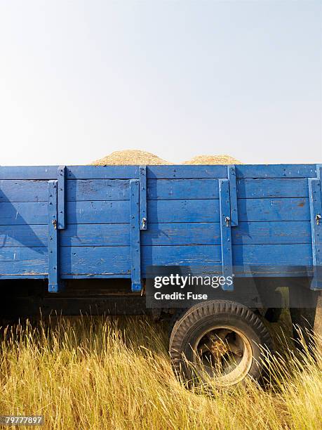 storage truck full of wheat - caryopsis bildbanksfoton och bilder