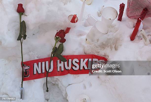 Roses rest in the snow outside the student center on the campus of Northern Illinois University following yesterday's shooting at Cole Hall February...