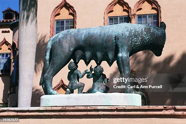 Wolf Rear View Photos and Premium High Res Pictures - Getty Images