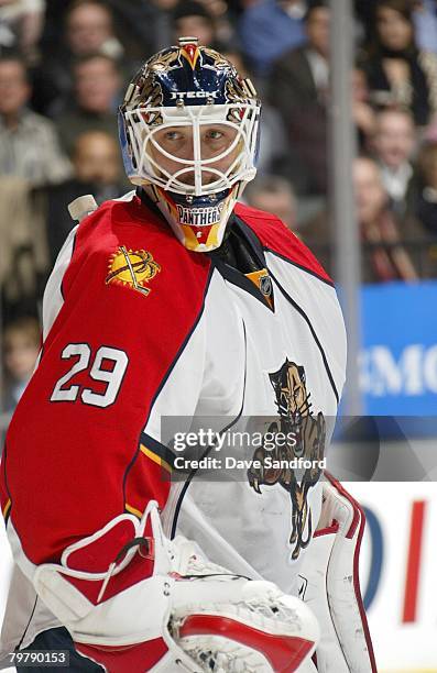 Goaltender of the Florida Panthers looks on during their NHL game against the Toronto Maple Leafs at the Air Canada Centre on February 5, 2008 in...