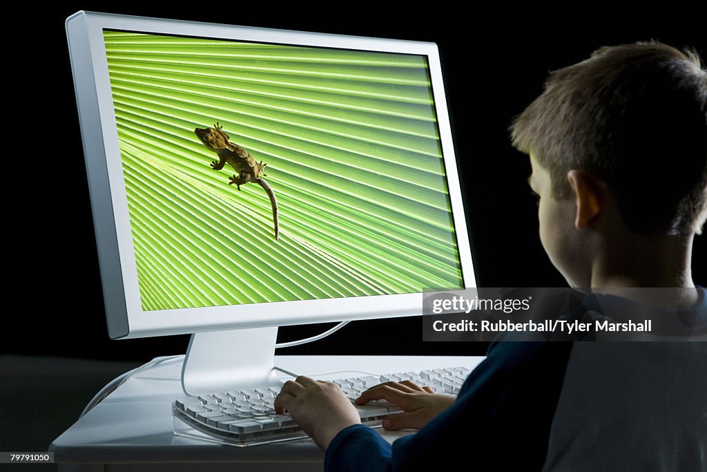 Lizard Using A Computer Rear View Of Boy At Computer With Lizard On Monitor High-Res Stock ...