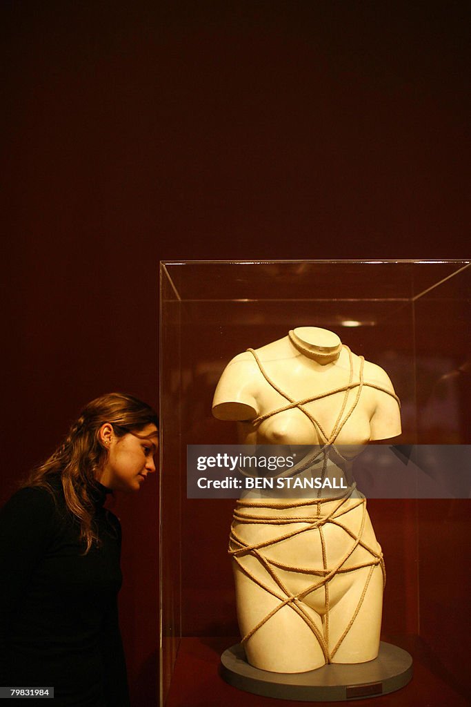 A visitor looks at an artwork entitled '