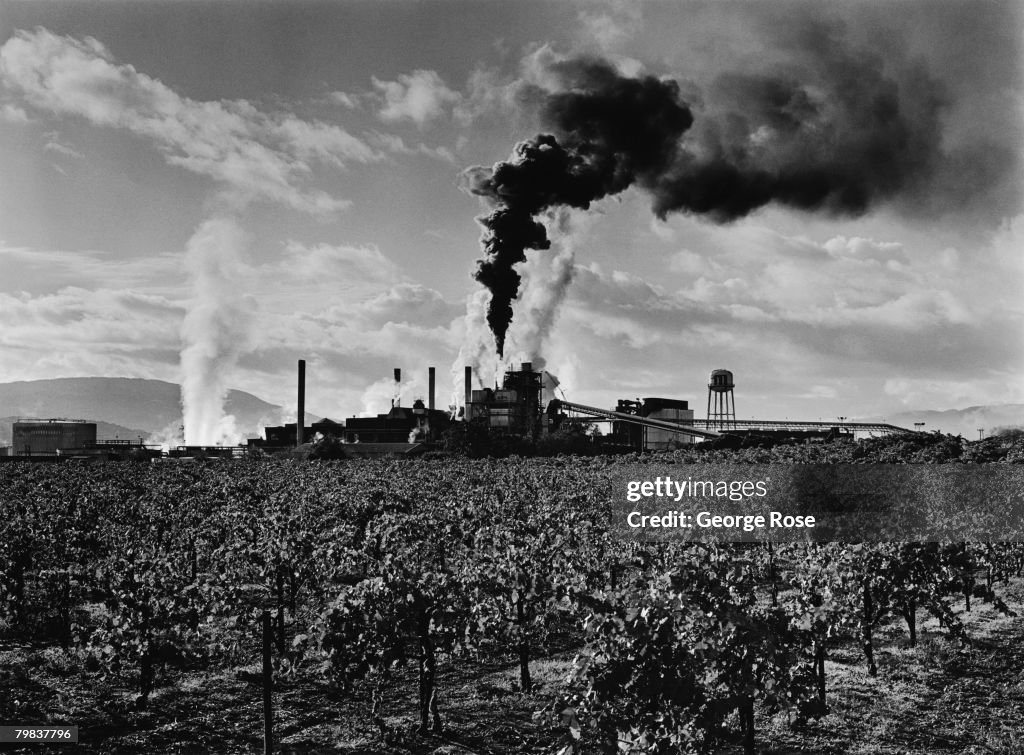 Wood Factory Pollutes the Mendocino County Air