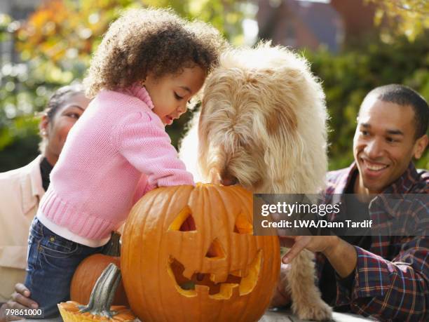 african family making jack-o-lantern - jack o' lantern 個照片及圖片檔