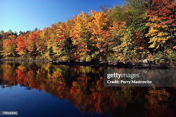 autumn foliage along a calm river - canadian shield stock pictures, royalty-free photos & images