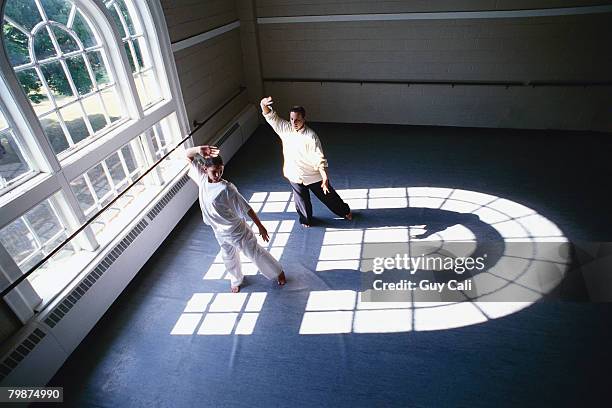 tai chi instructor and student - tai chi shadow stock pictures, royalty-free photos & images
