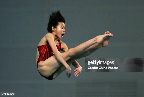 Wang Xin of China competes in the women's diving 10m platform final during the 16th FINA Diving World Cup, the "Good Luck Beijing" 2008 Olympic test...