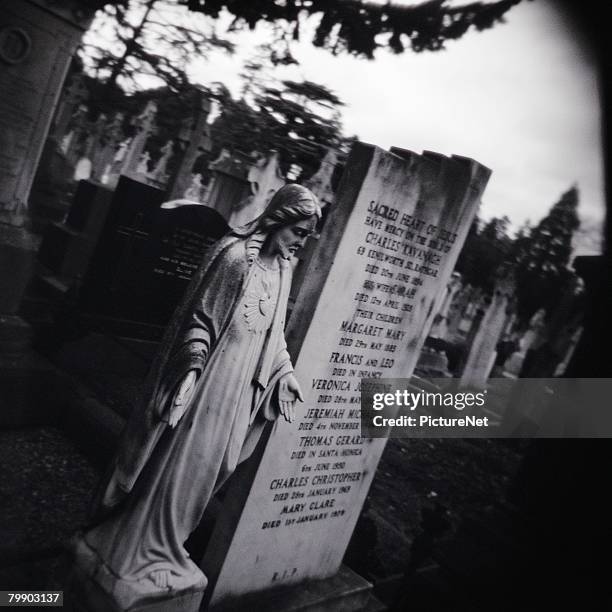 large tombstone in graveyard - glasnevin cemetery stock pictures, royalty-free photos & images