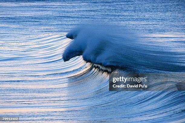 breaking wave - david puu stock-fotos und bilder