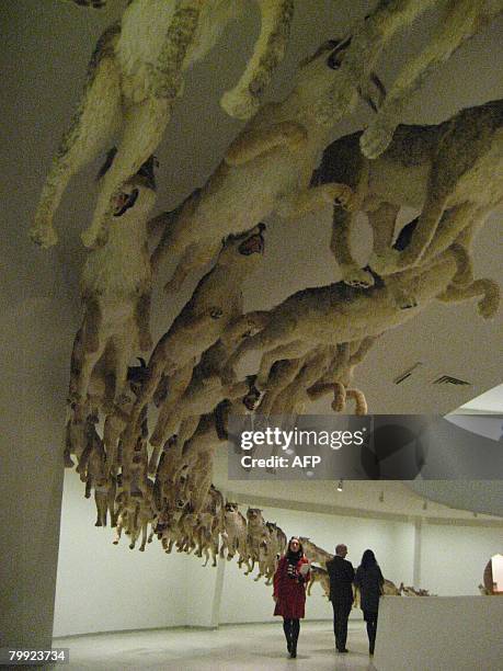 By James Hossack This February 21, 2008 photo shows wolf replicas called "Head On" at the Guggenheim Museum in New York. Works by Chinese-born artist...