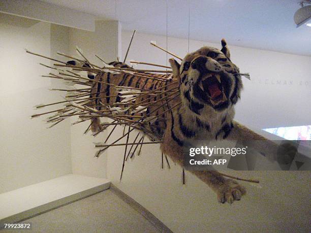By James Hossack This February 21, 2008 photo shows a tiger replica entitled "Inopportune: Stage Two" at the Guggenheim Museum in New York. Works by...