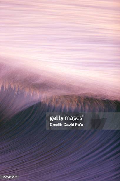 ocean wave breaking - david puu stock-fotos und bilder
